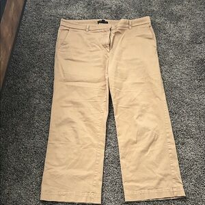 Ann Taylor Beige Ankle Pants
